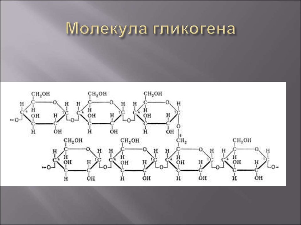 Глюкоген. Химическая формула молекулы гликогена. Молекула гликогена формула. Гликоген строение молекулы. Формулу фрагмента молекулы гликогена.
