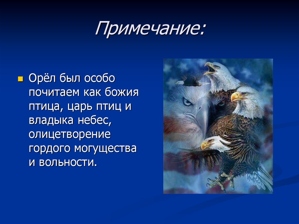 Бывшие орел. Орел царь птиц. Какая птица царь неба. Как птицы царя выбирали. Орёл царь неба.