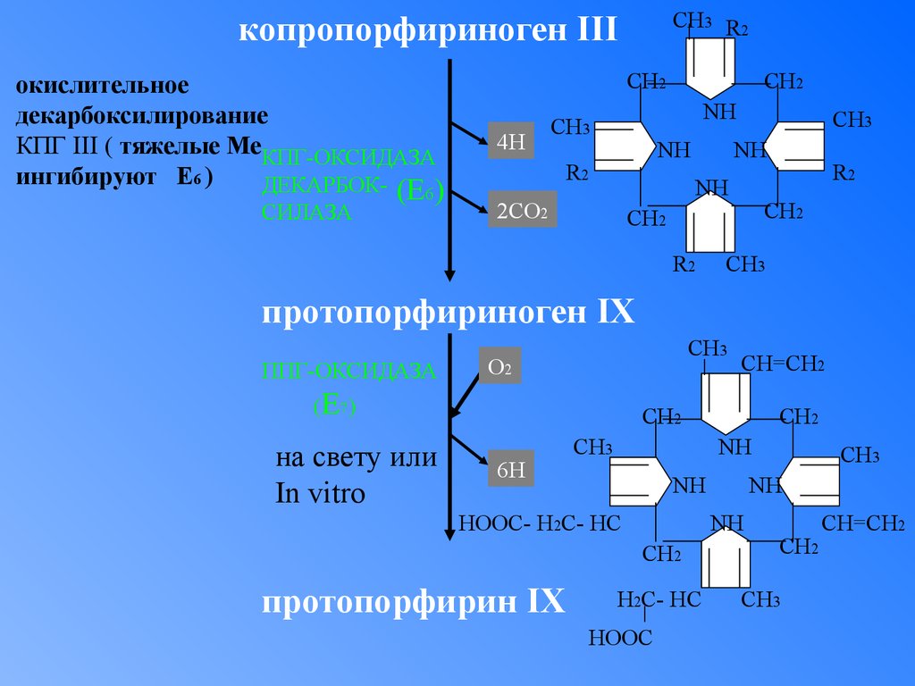 Протопорфирин. Протопорфириноген IX. Протопорфириноген IX формула. Синтез копропорфириногена 3. Копропорфириноген оксидаза.