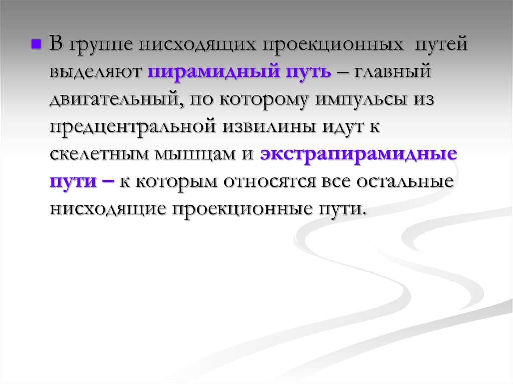 Проекция пути. Нисходящие проекционные пути. К нисходящим проекционным путям относятся:. Назвать группы нисходящих проекционных путей. Проекцированные пути это понятия.