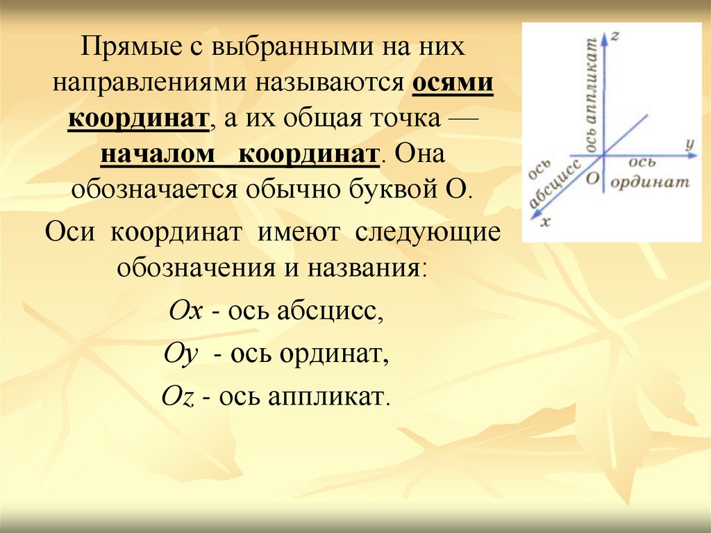 Название осей. Прямые с выбранными на них направлениями называются. Название осей координат. Направление оси координат. Как обозначаются оси координат.