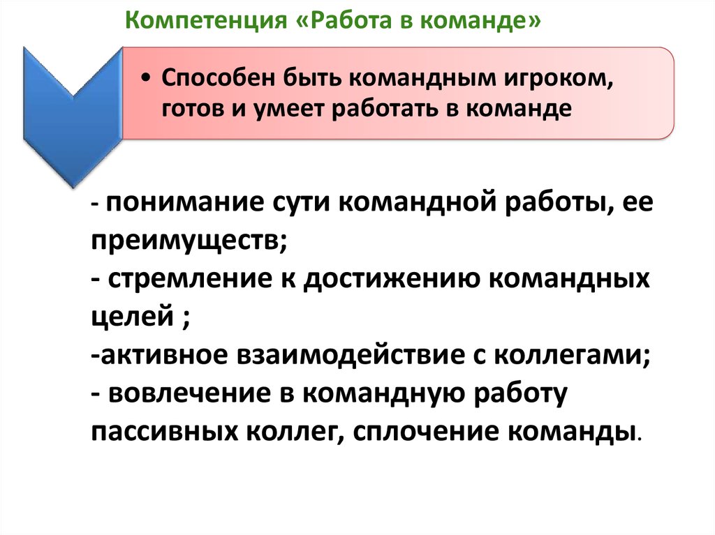 Компетенции команды проекта