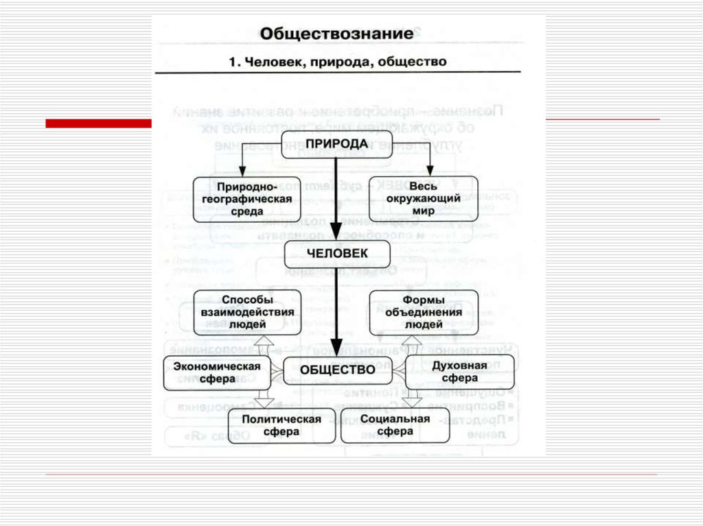 Общество и человек план по обществознанию