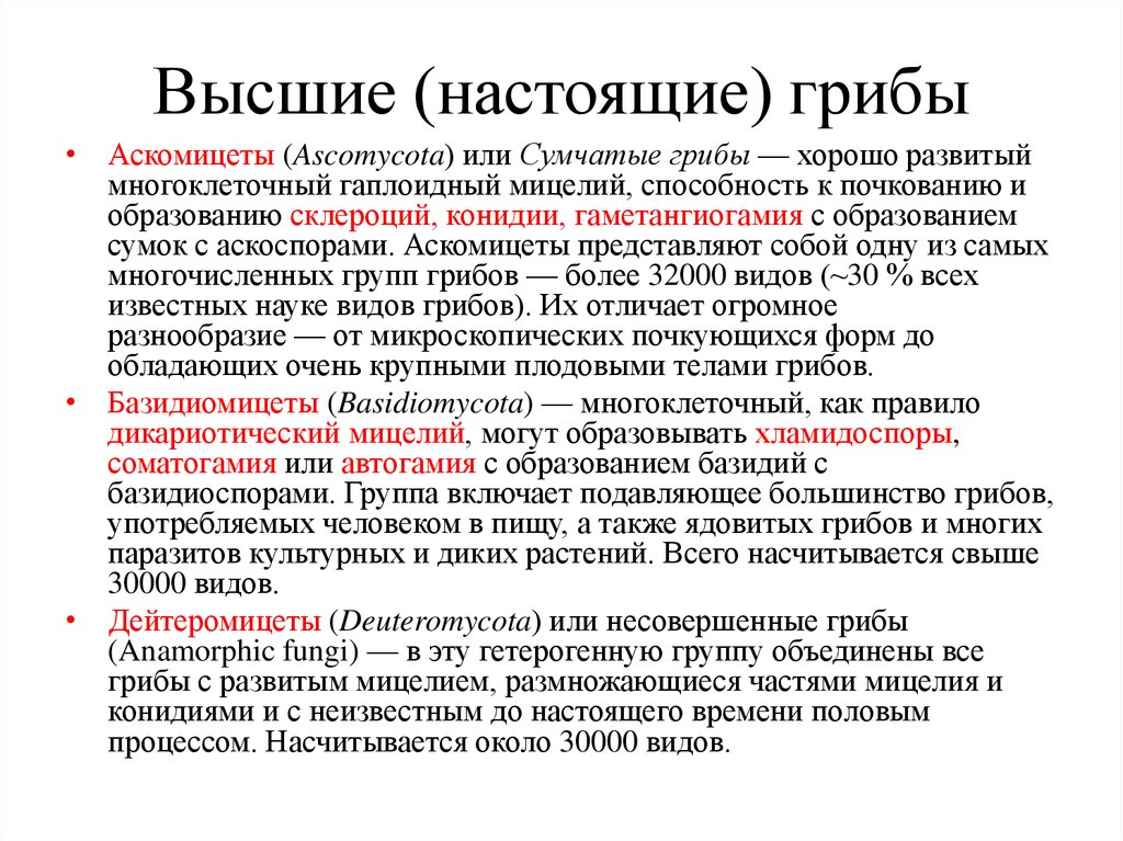 Если хотите, чтобы Ваш организм был свободен от грибов, не давайте им пищу!