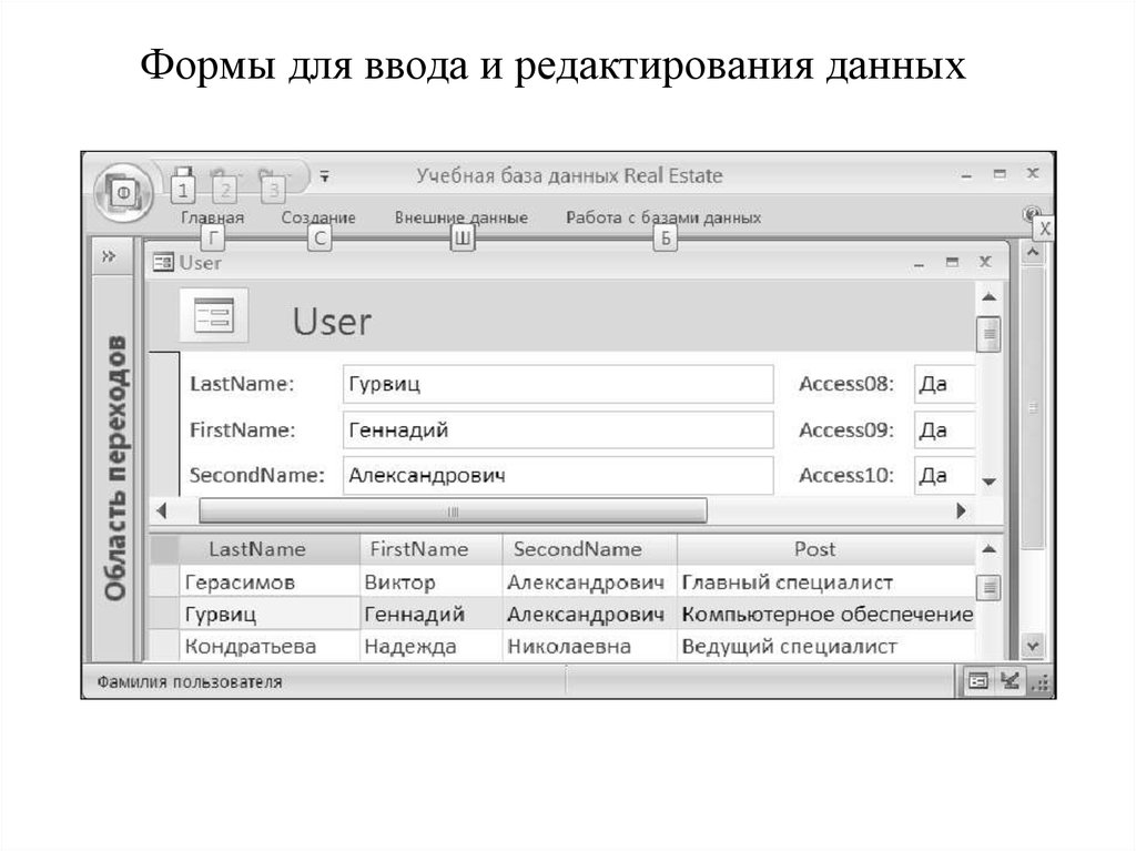 Форма данных. Форма ввода данных. Форма редактирования данных. Примеры форм ввода данных. Пример формы редактирования данных.