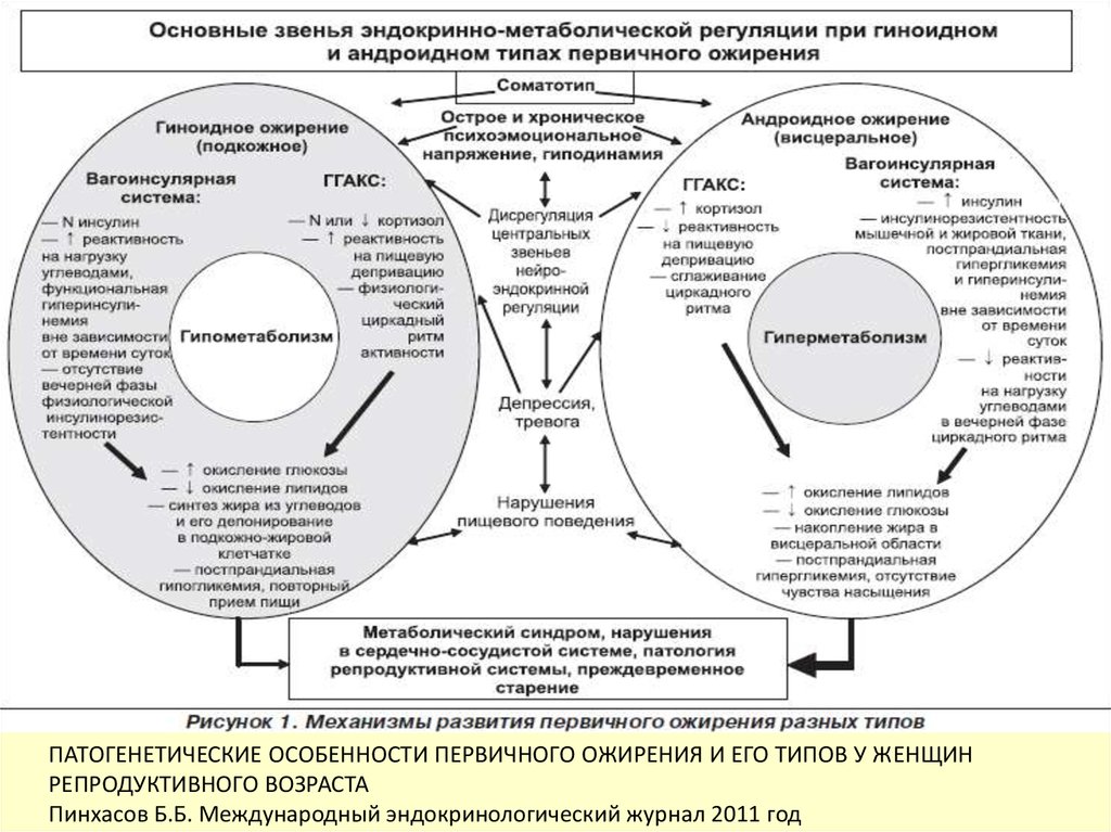 Журнал ожирение и метаболизм