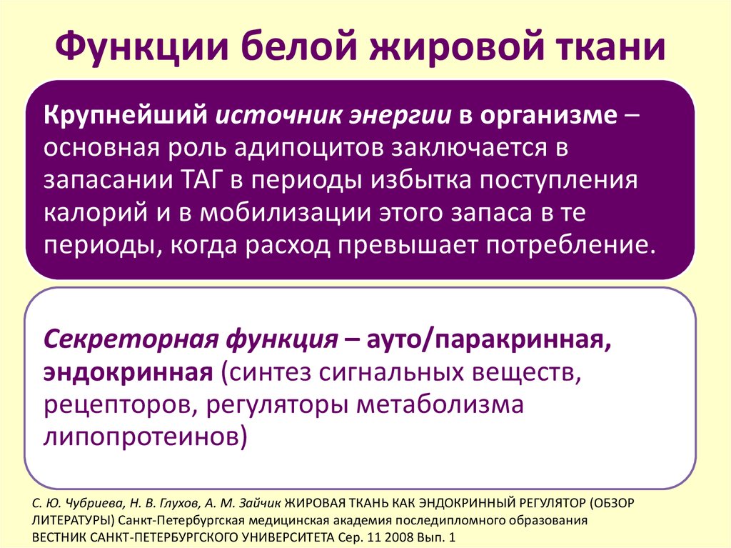 Роль белый. Функции белой жировой ткани. Жировая ткань.белая функци. Эндокринная функция белой жировой ткани. Функции белого жира.