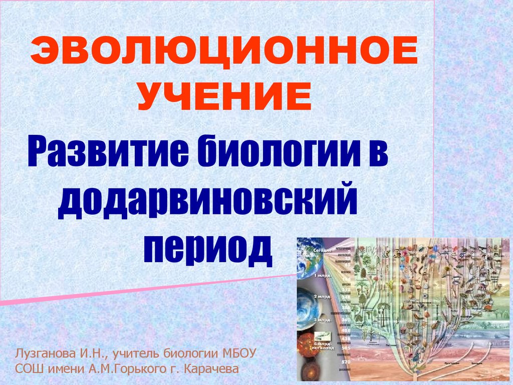 Реферат: Общая характеристика биологии в додарвиновский период