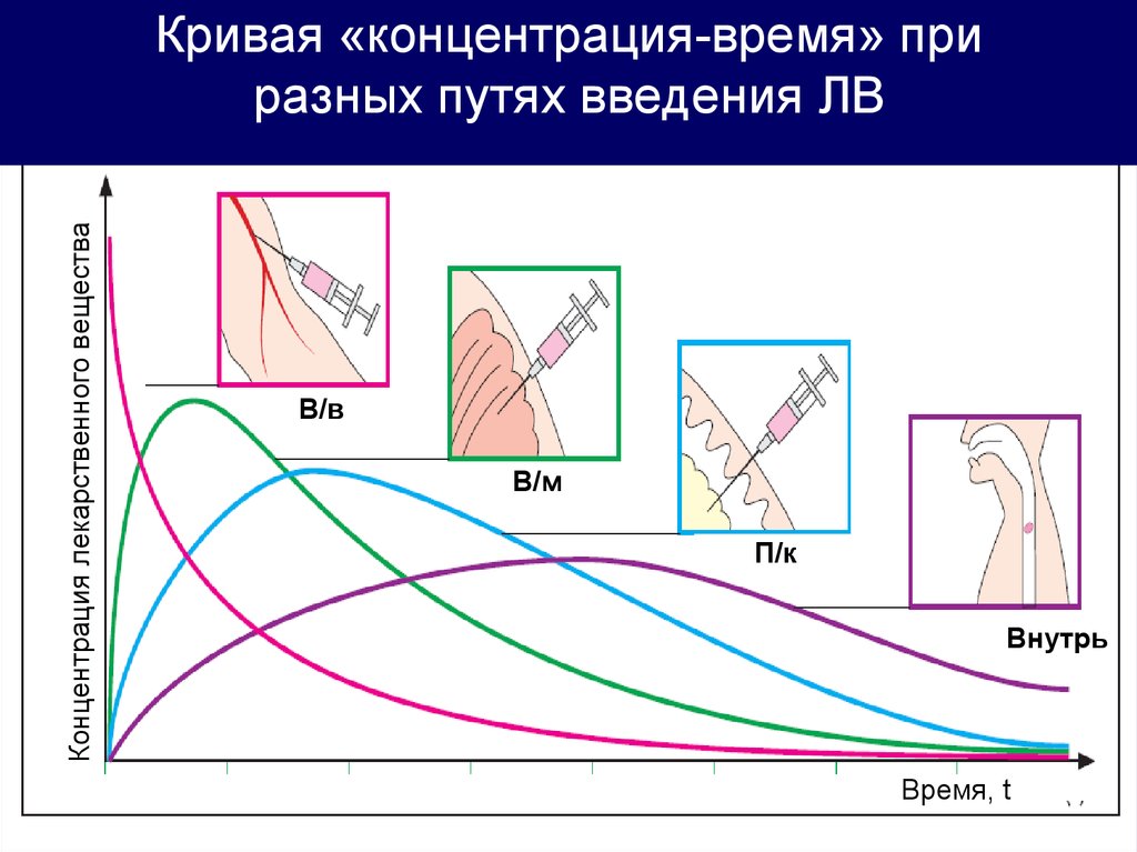 После введения концентрации. Фармакокинетическая кривая при различных путях введения. Кривая плазменная концентрация время. Фармакокинетическая кривая при внутривенном введении. AUC – площадь под фармакокинетической Кривой.