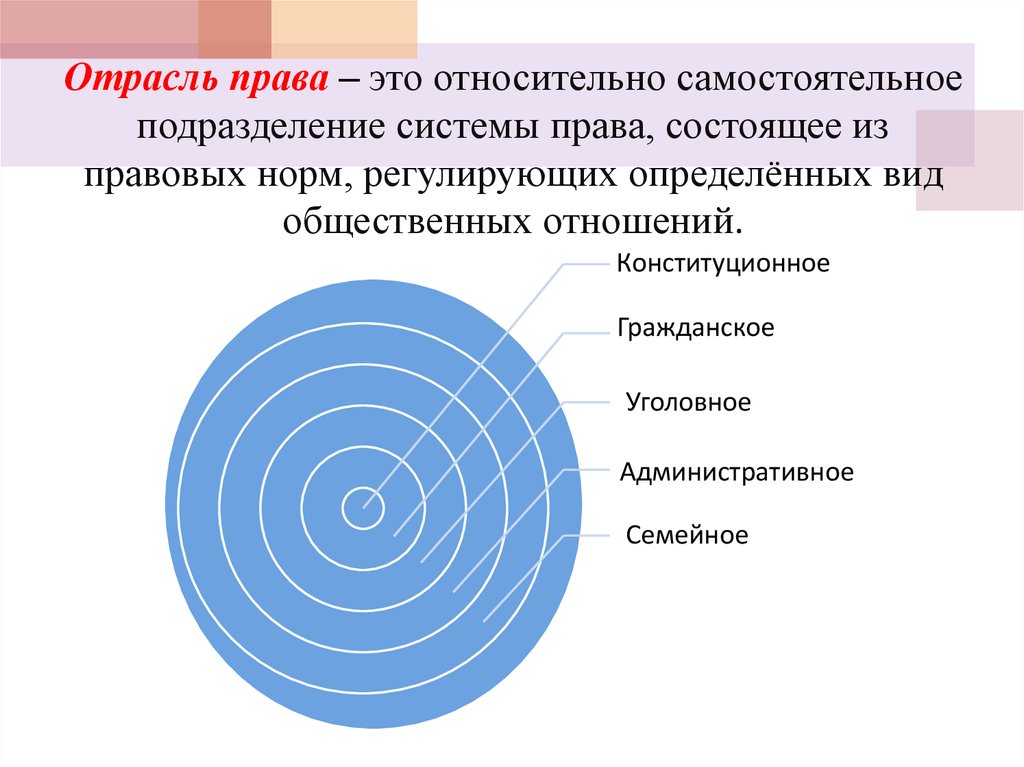 Презентация на тему процессуальные отрасли права 10 класс обществознание