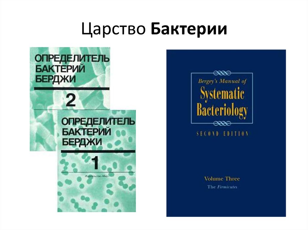 Определитель языка. Руководство Берджи по систематике бактерий. Определитель микроорганизмов Берджи. Определитель бактерий Берджи. Берджи определитель бактерий последнее издание.