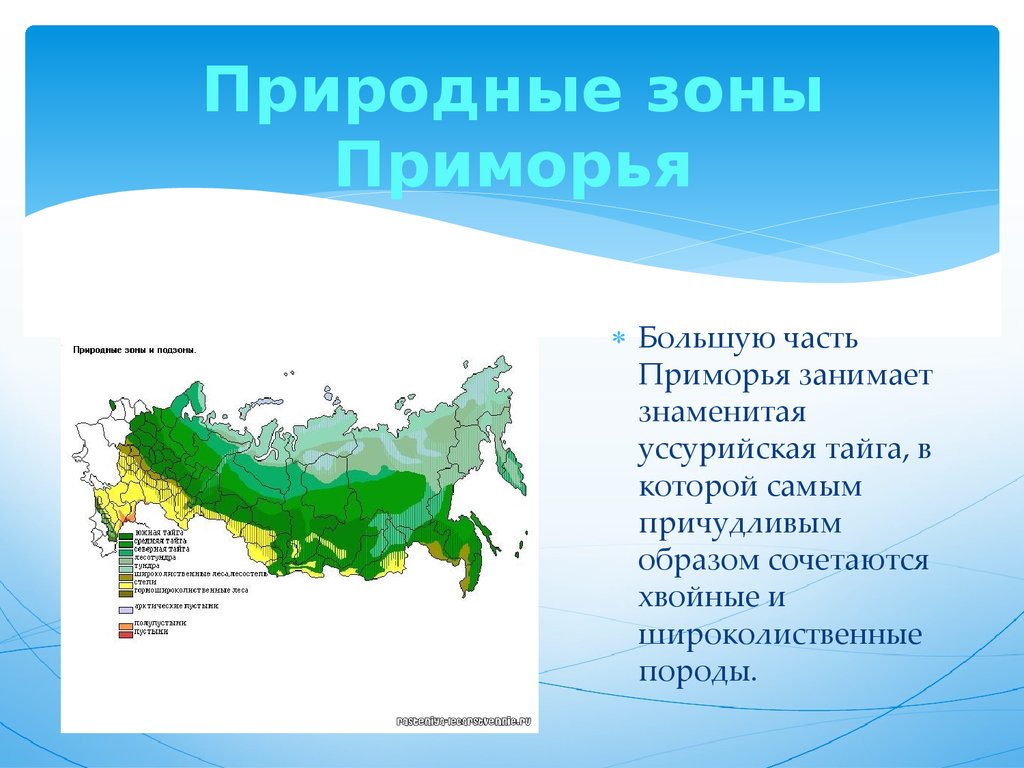 Какая природная зона в красноярском крае. Уссурийская Тайга природная зона. Природные зоны Уссурийска. Уссурийская Тайга на карте. Уссурийская Тайга географическое положение на карте.