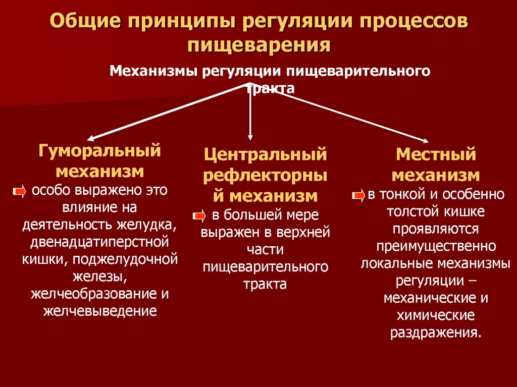 Принцип механизмов. 3. Принципы регуляции деятельности пищеварительной системы.. Механизмы регуляции пищеварительных функций. Общая характеристика механизмов регуляции ЖКТ. Основные механизмы регулязиипищеворения.