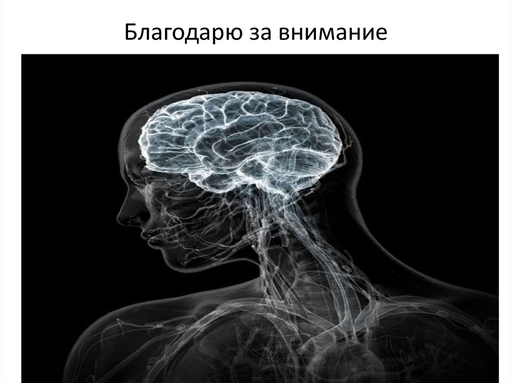 Благодарю за внимание