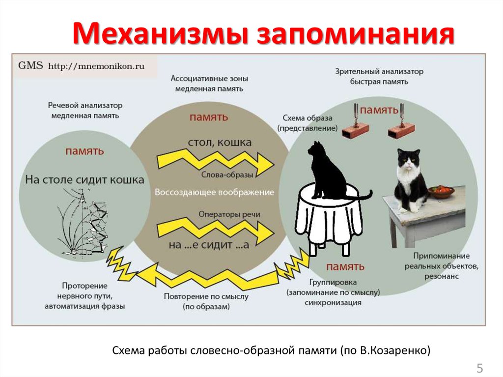 Примеры работы памяти. Схема способы запоминания. Способы запоминания информации. Методика запоминания информации. Процесс запоминания схема.