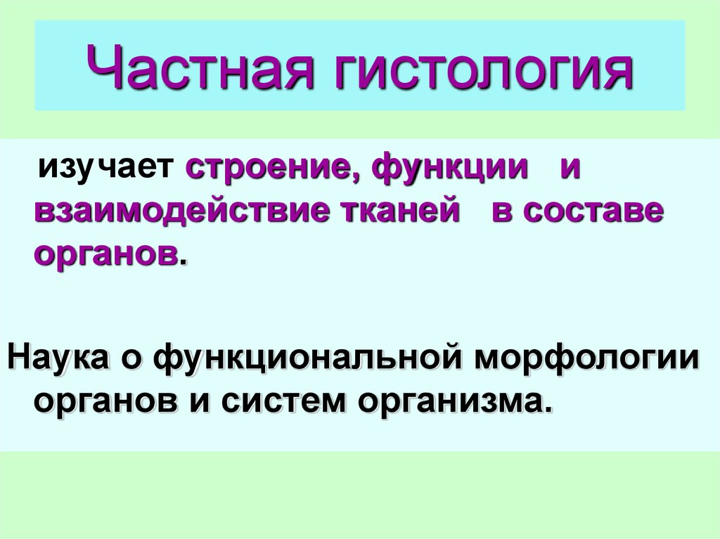 Взаимосвязь тканей. Что изучает гистология. Частная гистология. Гистология это наука изучающая. Общая гистология изучает.