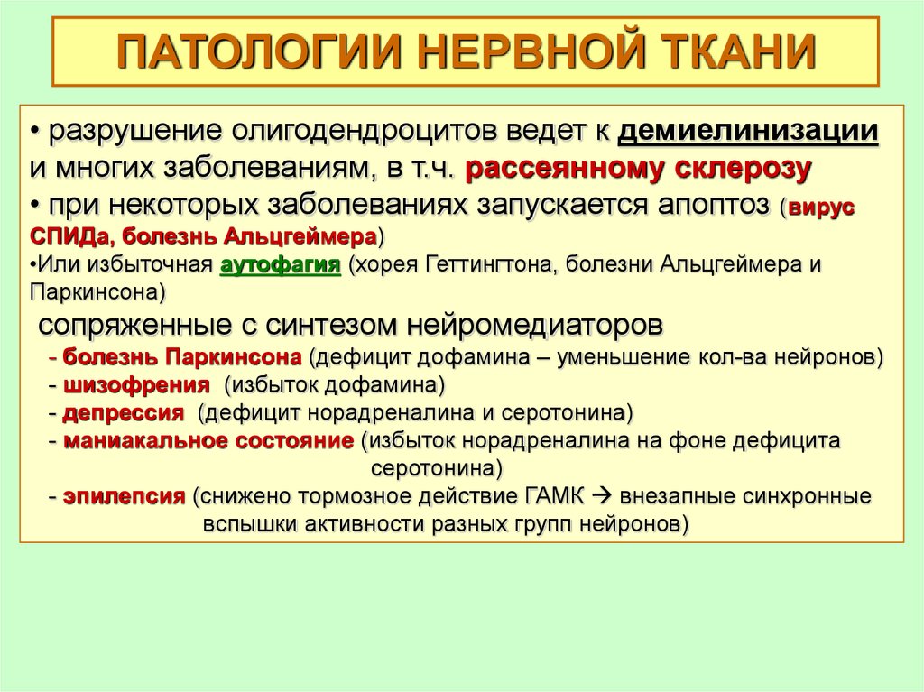 Взаимосвязь тканей. Патология нервной ткани. Патология нервной ткани биохимия. Метаболизм нервной ткани биохимия. Особенности энергетического обмена в нервной ткани.