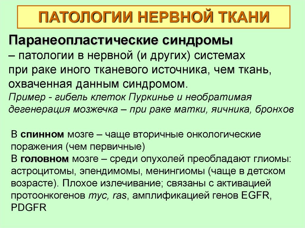 Взаимосвязь тканей. Патология нервной ткани. Паранеопластические синдромы при опухолях нервной системы. Паранеопластическая дегенерация нервной системы.