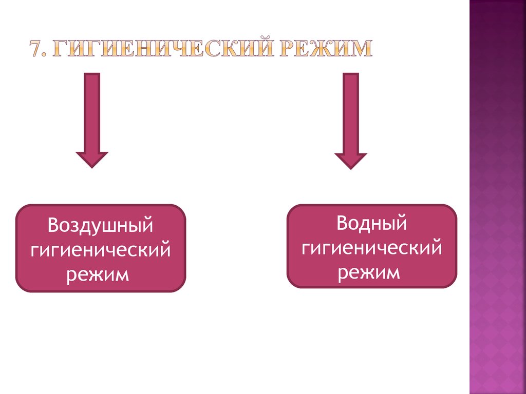 Гигиенический режим. Водно-воздушный режим их гигиеническая характеристика.