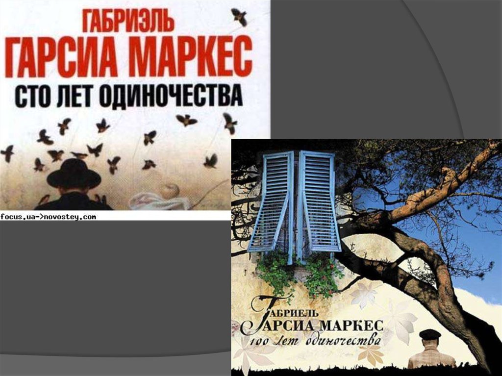 Сто лет одиночества. Магический реализм Маркес. СТО лет одиночества вкладка. Гарсиа Маркес СТО лет одиночества цитаты. 100 Лет одиночества деревня.