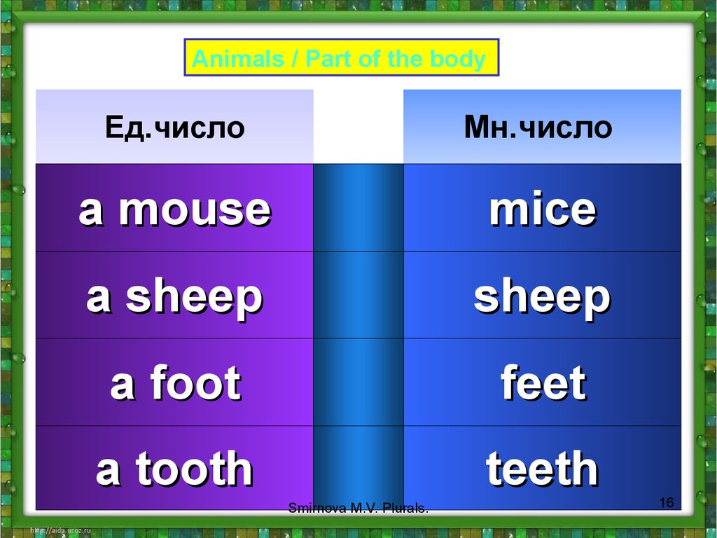 Tooth множественное число. Sheep множественное число. Множ число Sheep. Sheep во множественном числе на английском. Sheep множественное число в английском языке.