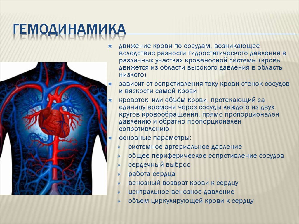 Обратный ток крови в венах. Гемодинамика. Гемодинамика сердца. Основы гемодинамики. Гемодинамика движение крови по сосудам.