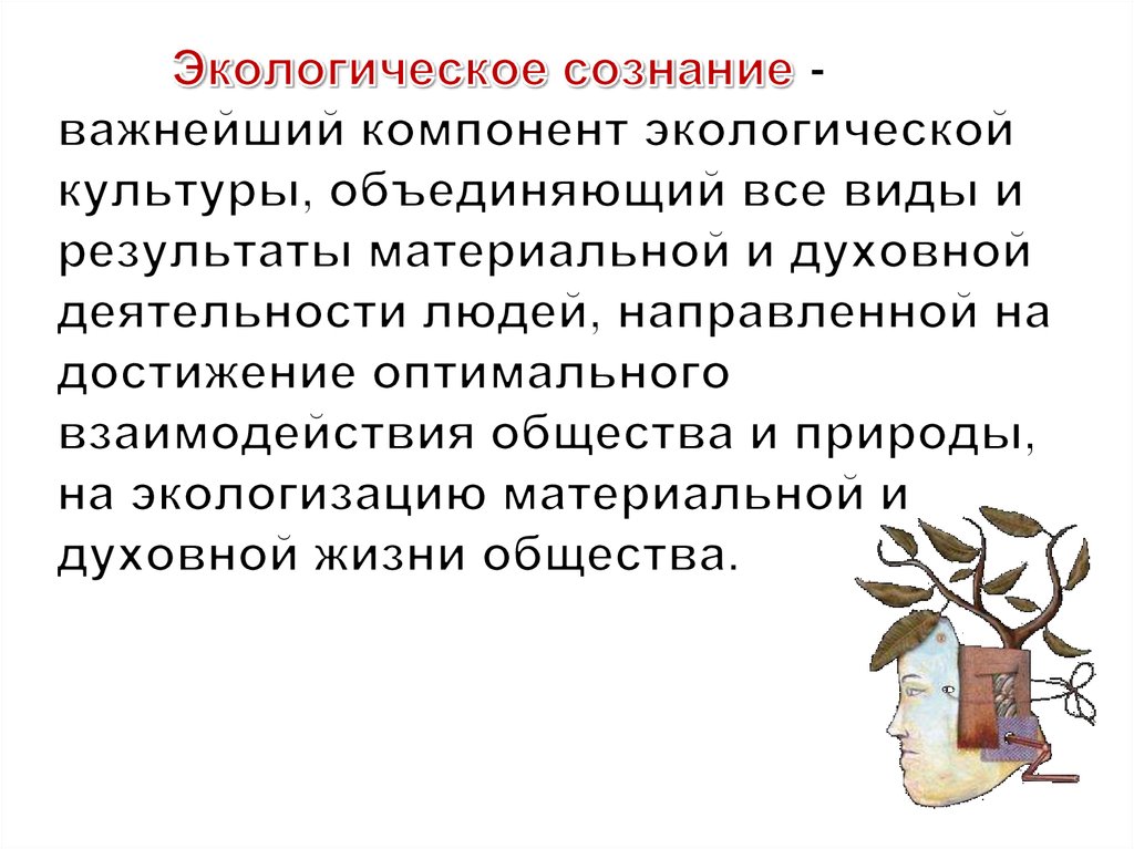 Экологическое сознание. Воспитание экологического сознания. Формирование экологического сознания. Что такое экологическое сознание понятие.