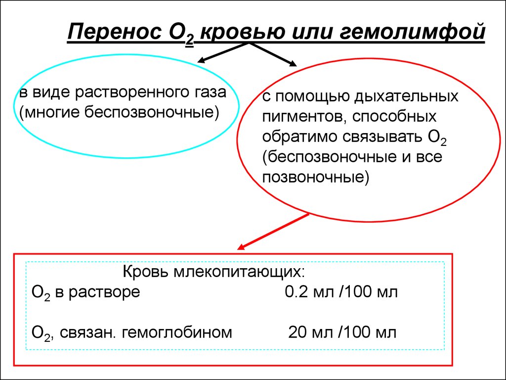 Перенос газов кровью