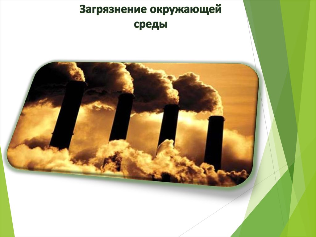 Загрязнение окружающей среды