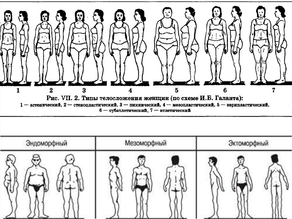 Конституции женщин. Типы Конституции человека схема. Типы телосложения по Бунаку. Астенический атлетический и пикнический типы. Типы телосложения схема.