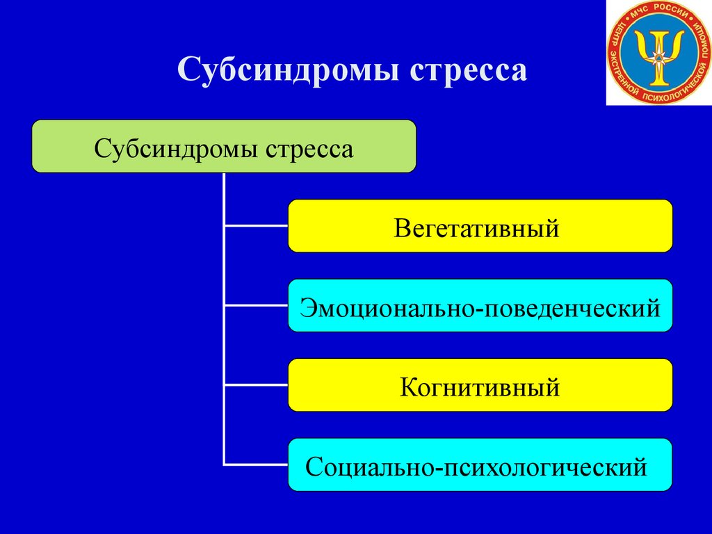 Субсиндромы или фазы стресса презентация