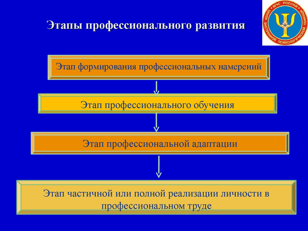 Формирование профессиональной. Этапы профессионального развития. Этапы развития профессионализма. Стадии профессионального становления. Этапы формирования профессионализма.