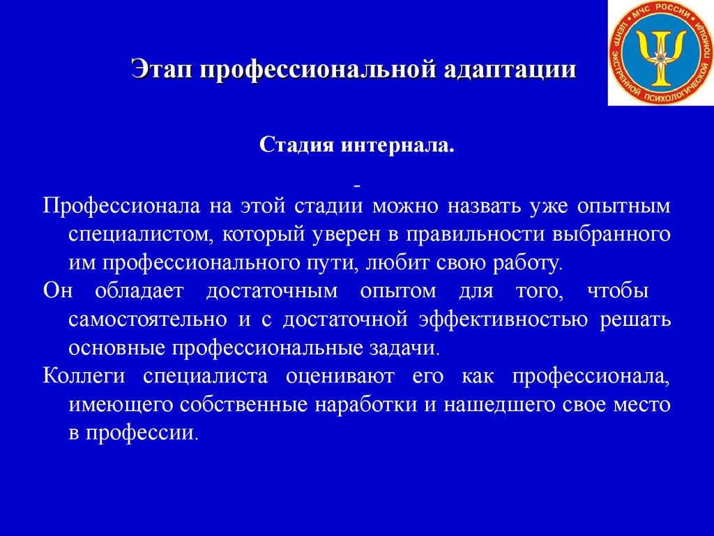 Профессиональное здоровье определения. Стадия интернала. Проблемы стадии стадия интернала. Стадия 4. профадаптация. Интернал в профессиональном пути.