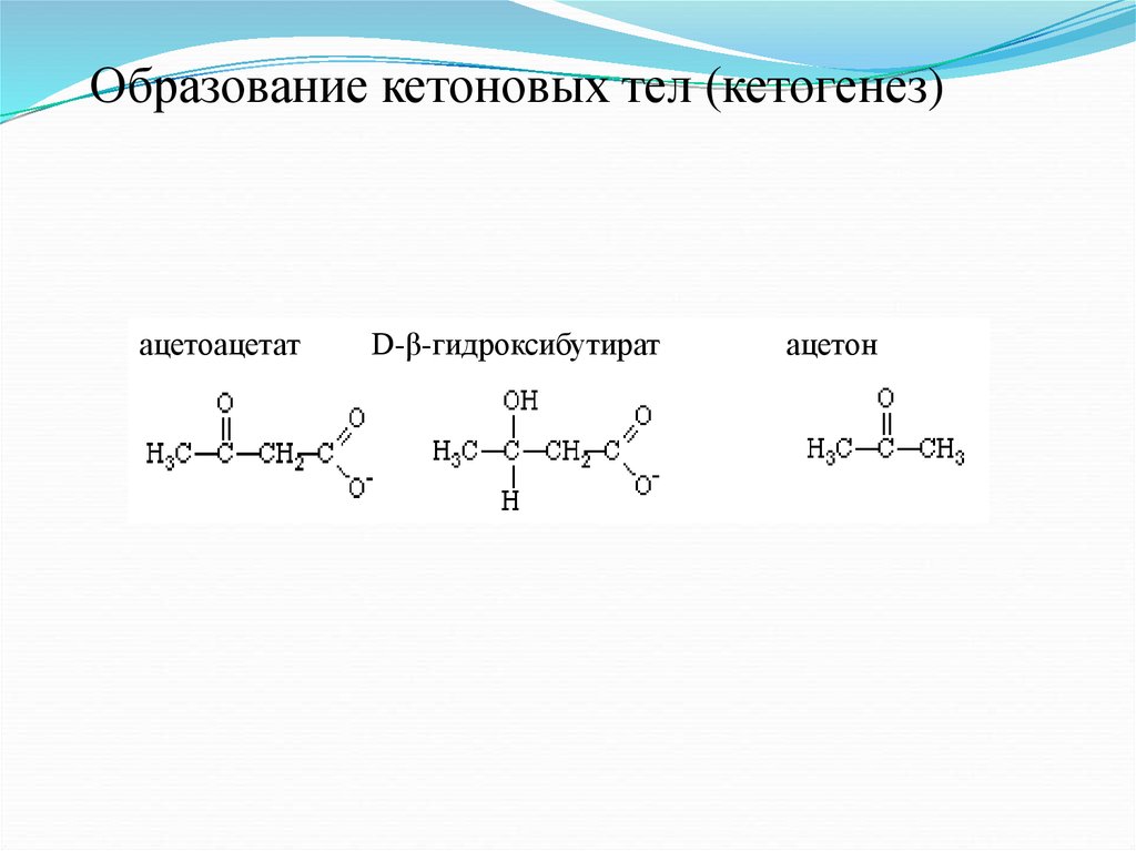 Схема образования кетоновых тел