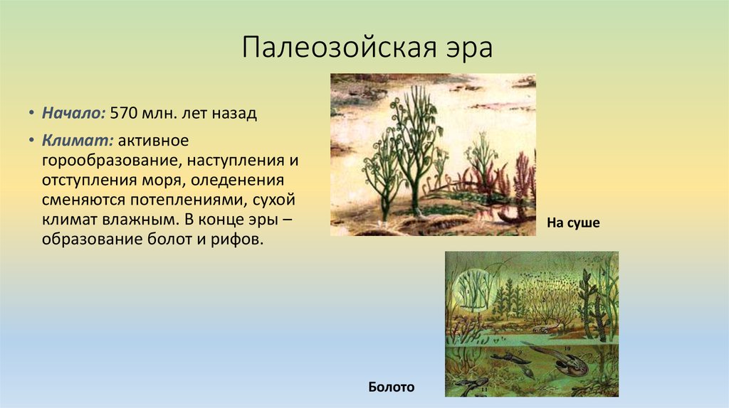 Ранний палеозой растения. Начало палеозойской эры. Палеозойская Эра климат. Палеозой Девон климат. Палеозойская Эра растения.
