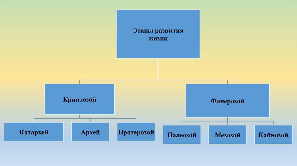 Процессы развития жизни. Этапы развития жизни. Развитие жизни на земле Криптозой. Криптозой и фанерозой. Архей протерозой фанерозой.