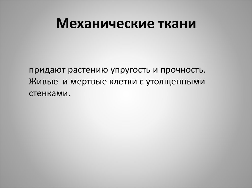 Ткани придающие прочность растениям. Прочность и упругость растениям придает. Прочность и эластичность. Механическая ткань растений функции.