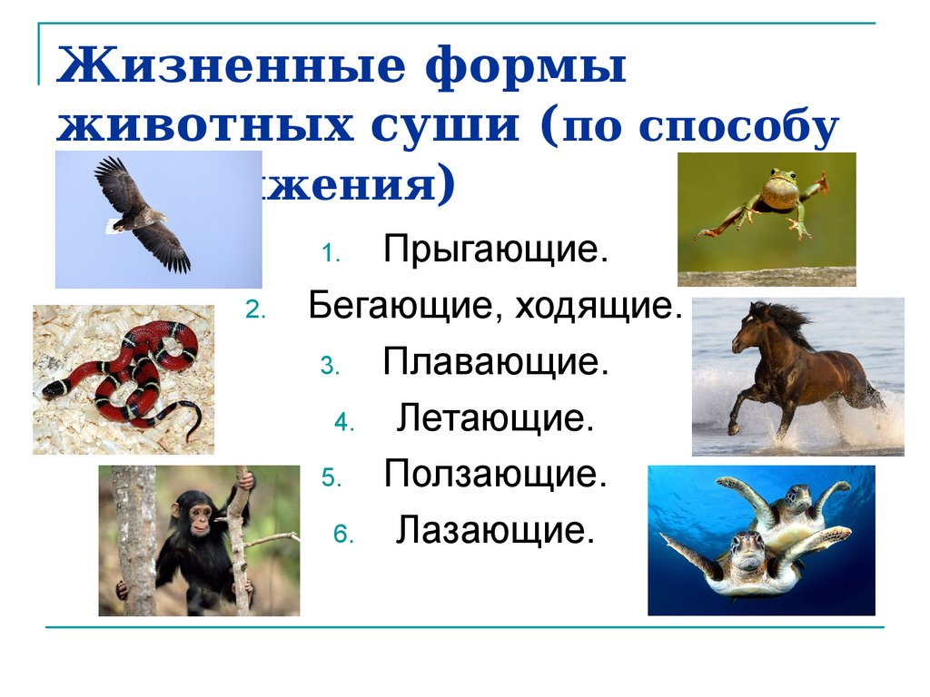 Таблица передвижение животных. Жизненные формы животных суши. Способы движения животных. Способы перемещения животных. Способ передвижения животного.