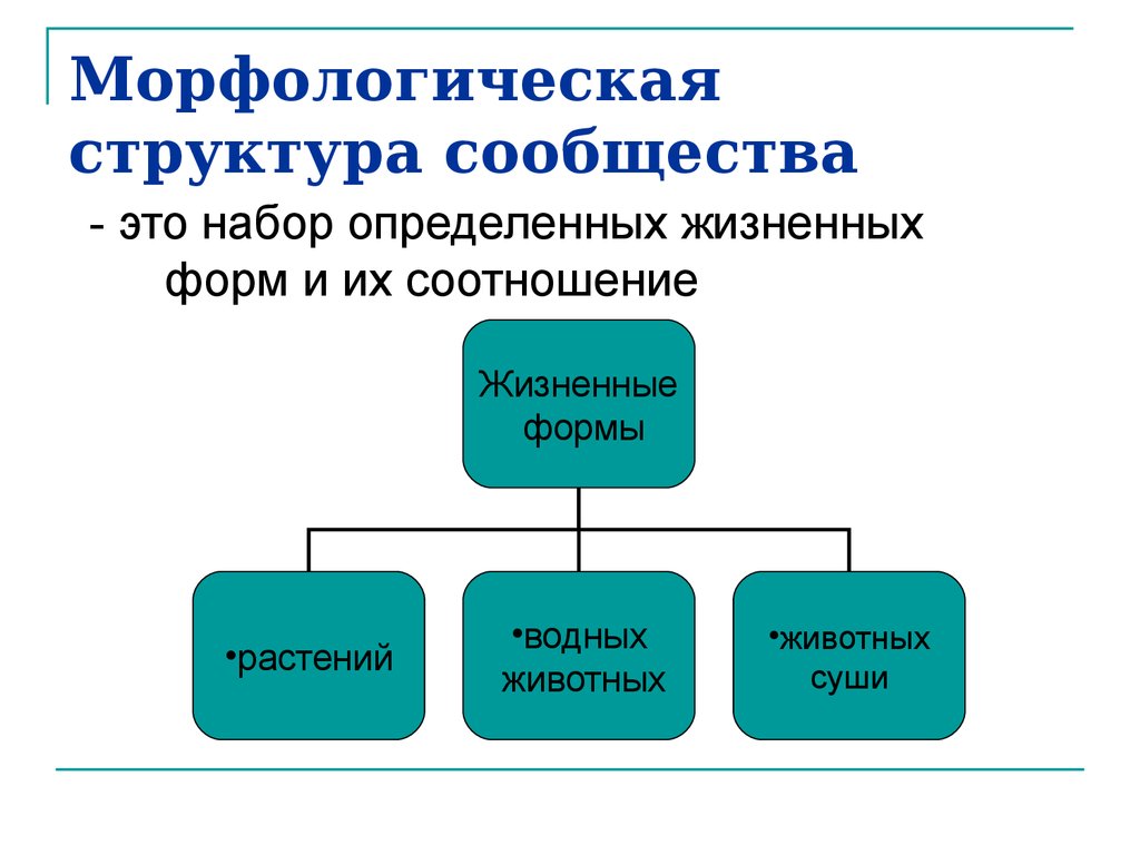 Морфологическая структура текста