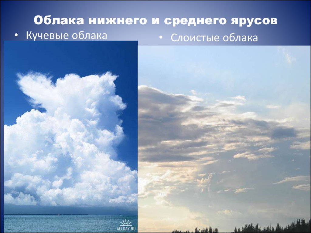 Облака нижний. Слоистые облака Нижнего яруса. Облака среднего яруса. Облака верхнего яруса. Облачность Нижнего яруса.