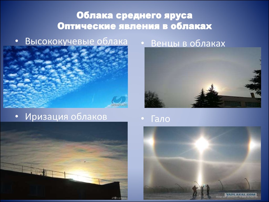 Облака среднего яруса Оптические явления в облаках