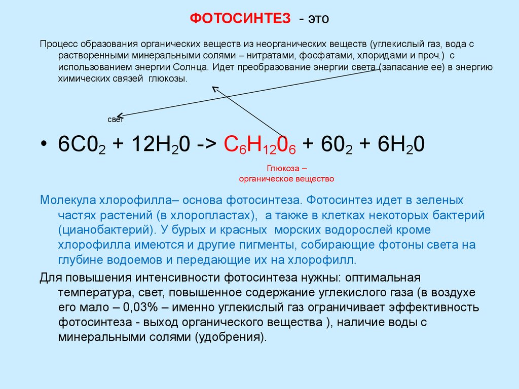 Тест по теме фотосинтез хемосинтез 10 класс