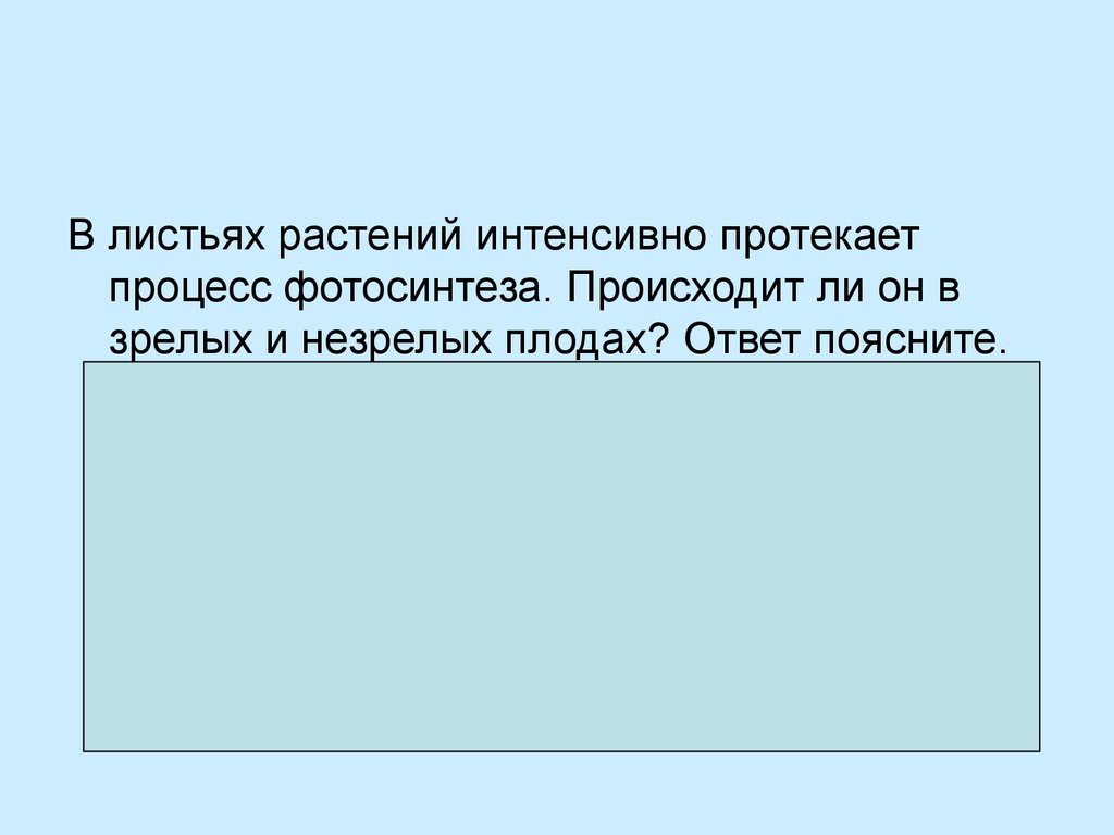 Осуществляется ли. Происходит ли процесс фотосинтеза в зрелых и незрелых плодах листьях. Происходит ли фотосинтез в зрелых и незрелых плодах. Происходит ли Фотосинтезв зрелых и незрелых плодвх.