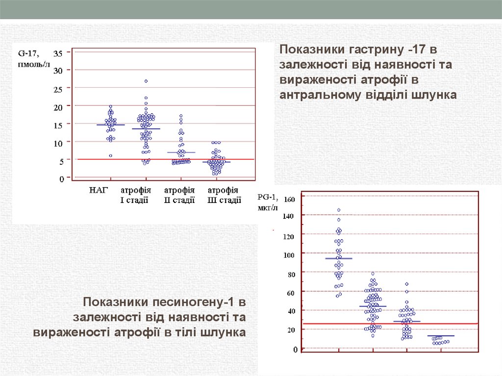 Презентация курсовая работа хронический гастрит