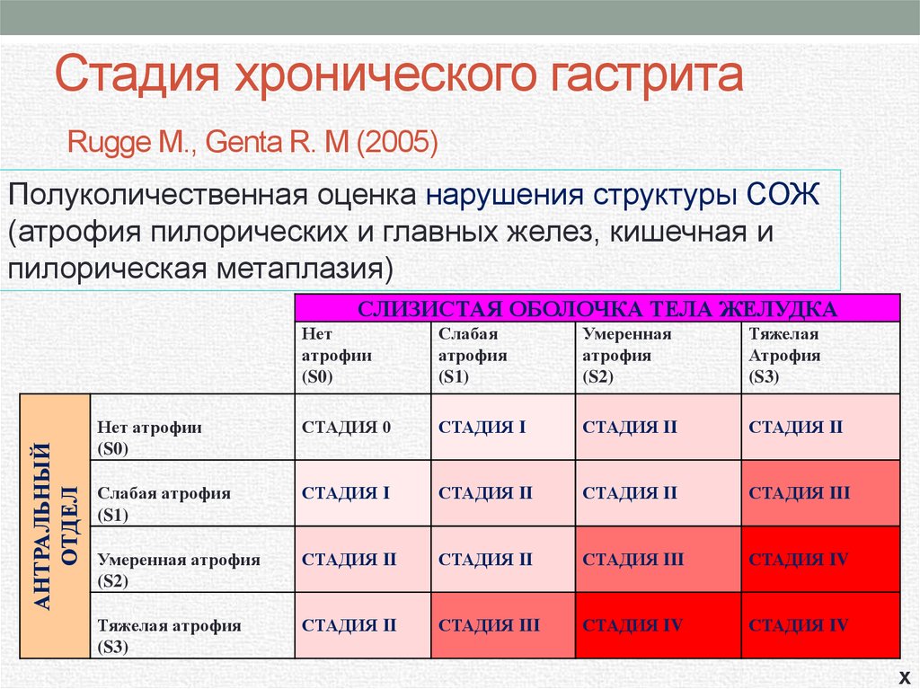 Стадия хронического гастрита Rugge M., Genta R. M (2005)