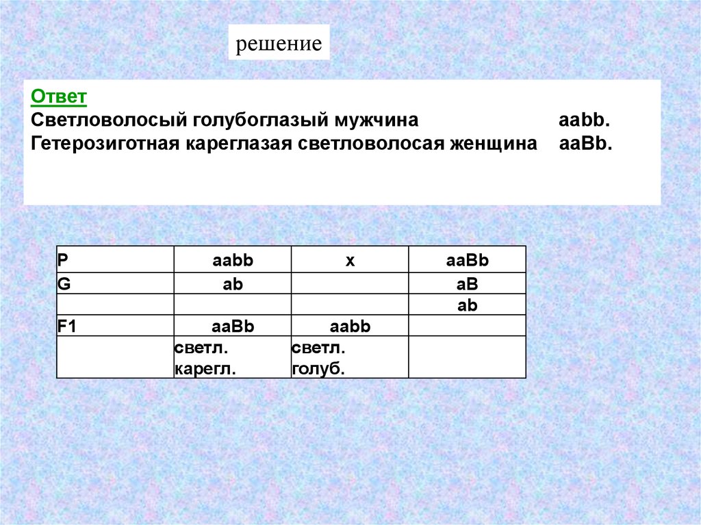 Голубоглазый мужчина женился на голубоглазой женщине. Гетерозиготная кареглазая женщина. Светловолосый кареглазый мужчина из семьи. Гетерозиготный мужчина. Кареглазый мужчина и голубоглазая женщина.