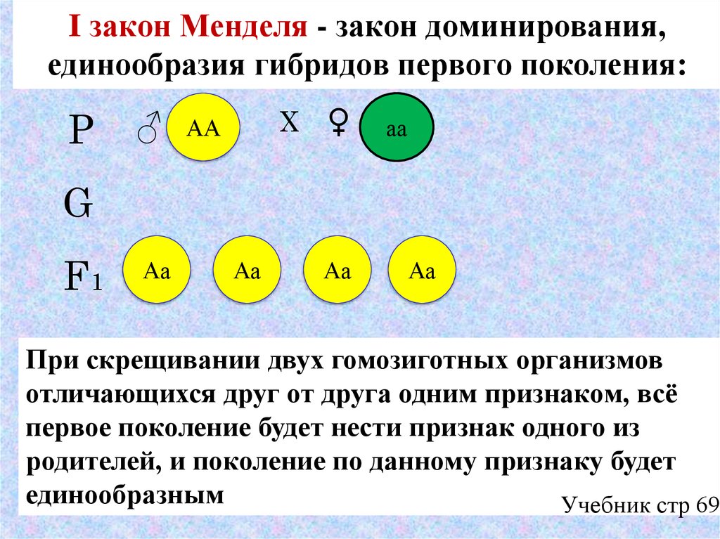 Признак гибридов первого поколения. Закон единообразия 1 закон Менделя. 1 Закона Менделя закон единообразия гибридов первого поколения. 1 Закон Менделя формулировка и схема. Схема скрещивания 1 закон Менделя.