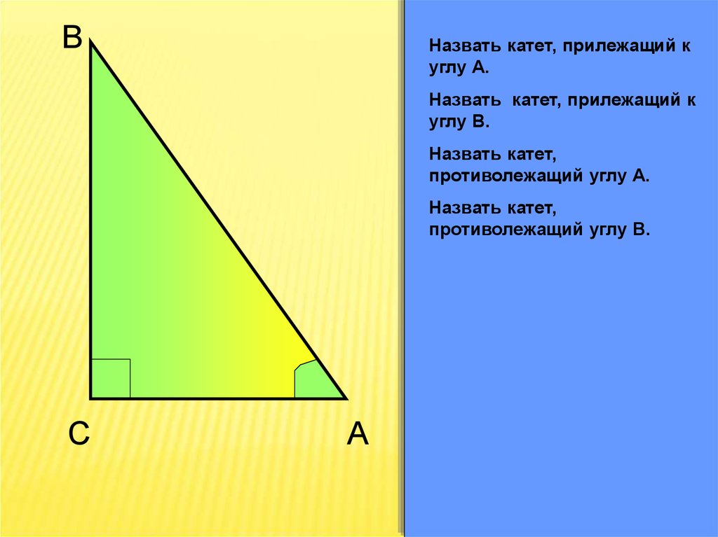 Любой катет. Прилежащий катет. Катет прилежащий к углу. Прилежащие и противолежащие катеты. Противолежащий и прилежащий катеты в треугольнике.