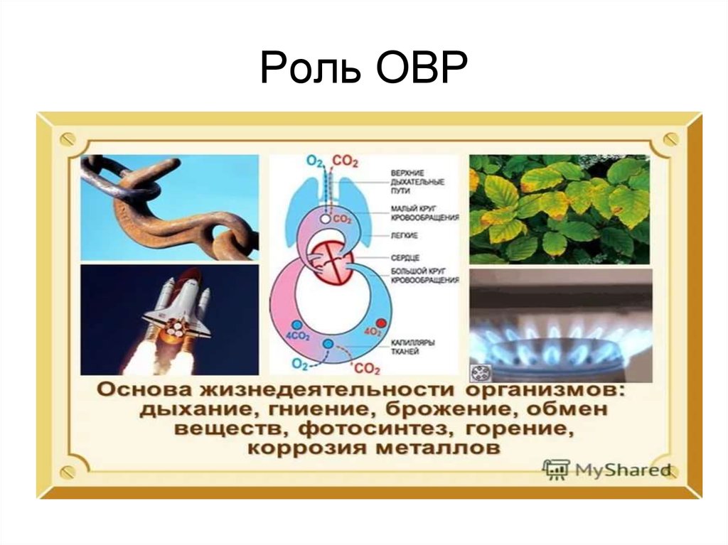 Овр в жизни человека презентация