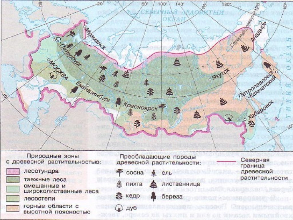 Подробная карта растительности россии